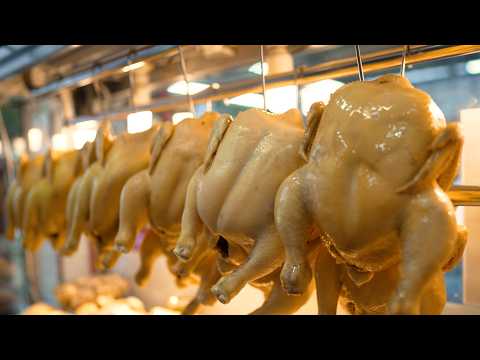 Unbelievably Tender Poached Chicken Rice – The Dish Every Chicken Lover Should Taste!