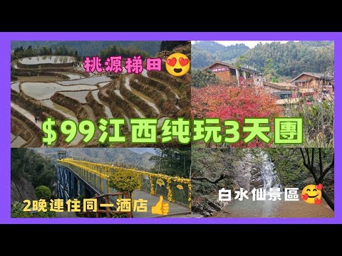 《领華旅遊》~$99江西3天纯玩團,白水仙景區🥰,銀杏村👍,桃源梯田😍