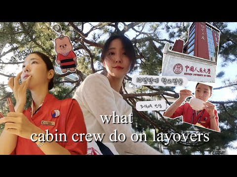 외노자 Vlog|외항사승무원|매일 매일 중국 비행만 하는 사람 | 나의 중국 유학 일대기 | 졸업한 베이징 학교 방문 | 베이징 꾸이양 레이오버 | 태풍과 함께하는 마카오 일상