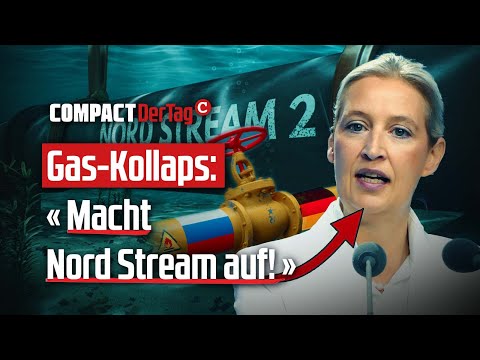 Gas-Kollaps: «Macht Nord Stream auf!»💥