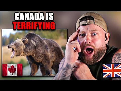 SHOCKED BRIT Reacts to "Deadliest Animals in Canada!"