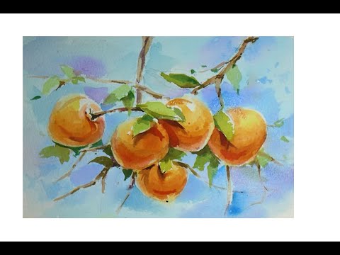 수채화 감 그리기Watercolor demo of persimmons. 水彩画 Aquarell