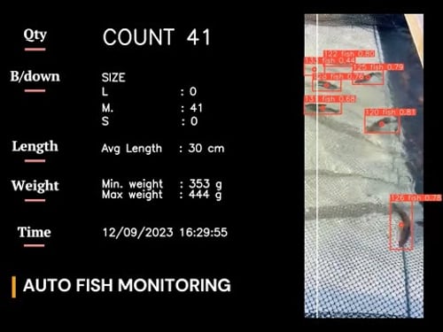 Auto Fish Monitoring With AI