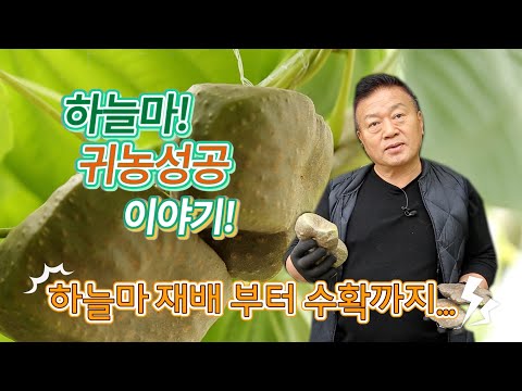 하늘마 귀농 성공기 귀농귀촌 길라잡이 (작물 선택)
