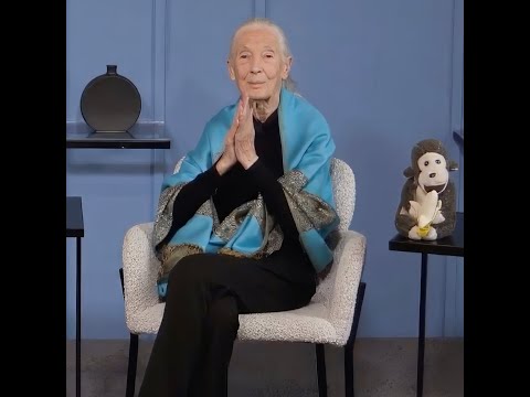 JANE GOODALL'S LAST INTERVIEW Recorded on 9/23/25
