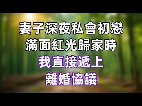 妻子深夜私會初戀,滿面紅光歸家時,我直接遞上離婚協議