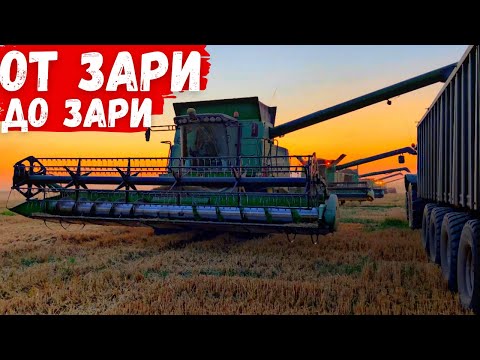 Самая Масштабная Уборка Урожая 2021! Такого Ты Ещё ТОЧНО НЕ ВИДЕЛ!