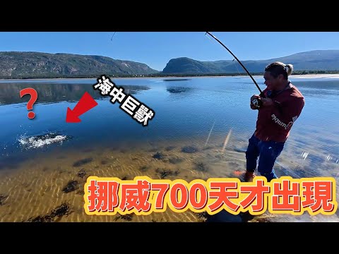 挪威馬路邊釣魚 卻遇上稀有巨獸連挪人都想來一碗?? 世界級的美味 早餐材料都準備好了就缺稀有巨獸了@laibagogogo