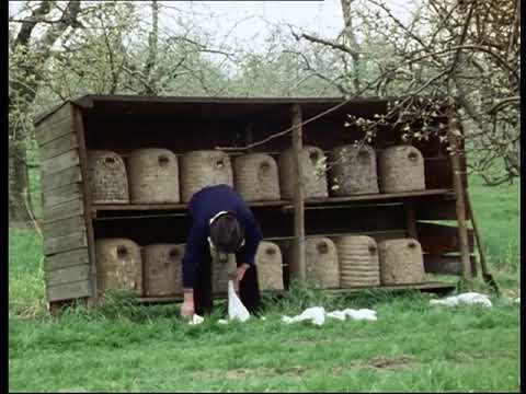 Spring Work in a Heather Skep Apiary - Skep Beekeeping Part 1