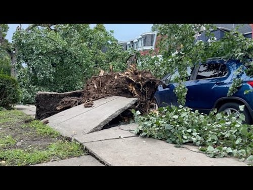 'It was so crazy!': Residents on Buffalo's West Side react to tornado hitting the city