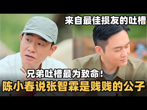 陈小春吐槽张智霖是贱贱的公子!真兄弟的吐槽最为致命!不愧是大湾区最佳损友!#综艺 #音乐 #披荆斩棘的哥哥 #披荆斩棘 #披哥 #陈小春 #张智霖 #袁咏仪