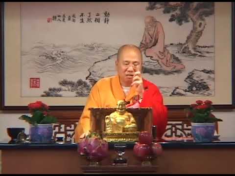 有些修道人還不如海龜?觀成法師開示怎樣修得「六根清淨、如龜藏六」、需知退步原來是向前 (部分有字幕)