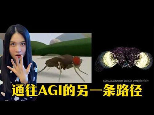 灵魂能被“复制粘贴”吗?12万神经元被成功上传,没写一行AI代码,它在电脑里“活”了?