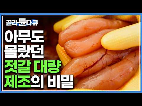맛있는 데에는 다 이유가 있었다. 젓갈이 밥도둑이 될 수밖에 없는 이유|밥도둑이 아니면 억울할 정도로 까다로운 제조 과정|새우젓부터 명란젓까지 젓갈 생산 공장|극한직업|#골라듄다큐