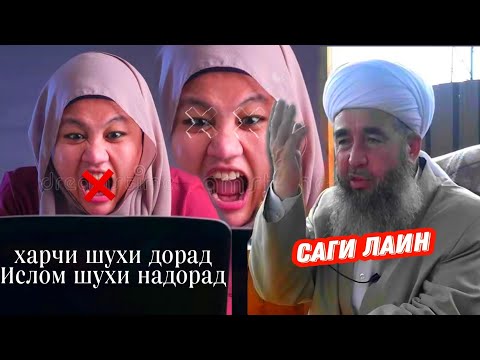 ЯК ЗАНИ САГИ ЛАЬН ДИНИ ИСЛОМА ДАР ТИК ТОК МАСХАРА КАРД ХИТОБИ САХТИ ЭШОНИ НУРИДДИНЧОН /САГИ ЛАЪИН\