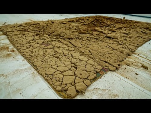 The Rug Left Behind at Construction Site After Cleaning Will Surprise You- Carpet Cleaning ASMR