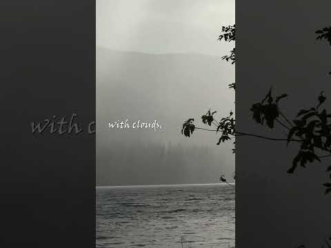 Bible in the Wild | God's Blessing in the Rain - Psalm 147:8