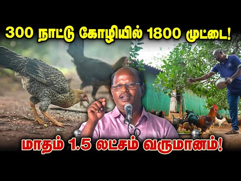 300 நாட்டு கோழியில் 1800 முட்டை!மாதம் 1.5 லட்சம் வருமானம்! #poultryfarming #integratedfarming