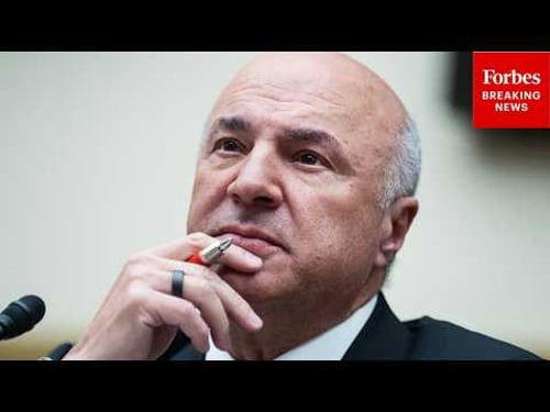 'Mr. Wonderful' Kevin O'Leary Testifies In Front Of House During Hearing On Rising Costs