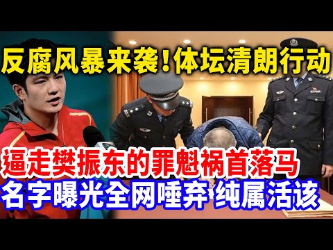 体坛清朗行动,奥运后逼走樊振东出走国外的人落马,名字曝光全网唾弃,纯属活该#樊振东#樊振东回国#体坛小喇叭