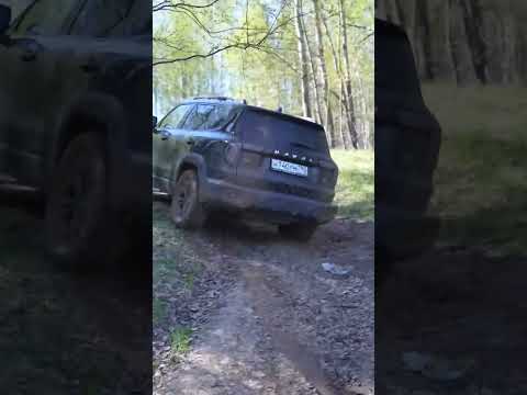Блокировка Dargo X в деле #havaldargo #haval #offroad #покатушки #travel #dargo #nature #бездорожье