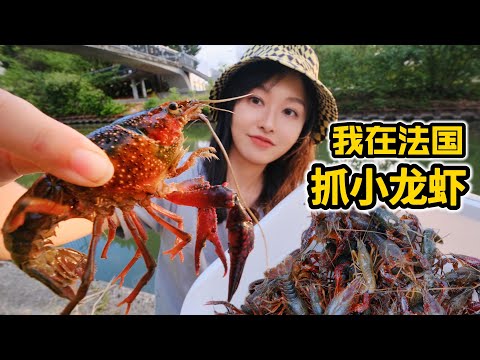 Catch crayfish in France, easily catch 100, make spicy crayfish spicy and delicious