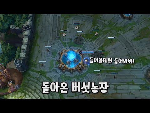 50분간 무려 8번의 본진공격을 막아낸 버섯마스터 티모와 장판파 신짜오