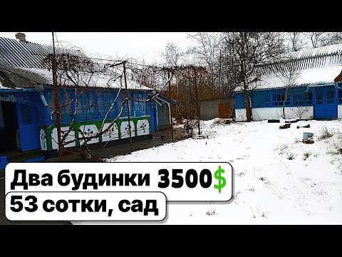 2 будинки за 3500$ у Вінницькій області, огляд садиби, 53 сотки землі, сад