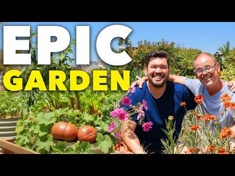 Dry Dusty Yard to Lush Paradise Garden: How He Did It