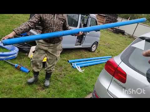 Abyssinian under submersible... is it necessary!?