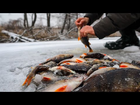 A package of fish from Four Holes. Old working places of the Grandfather on the Uzh River