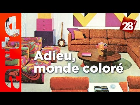 Intéressant : Le monde des humains est-il moins coloré qu’autrefois ? | 28 minutes | ARTE