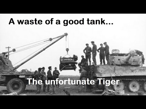 A Controversial Opinion on Tiger