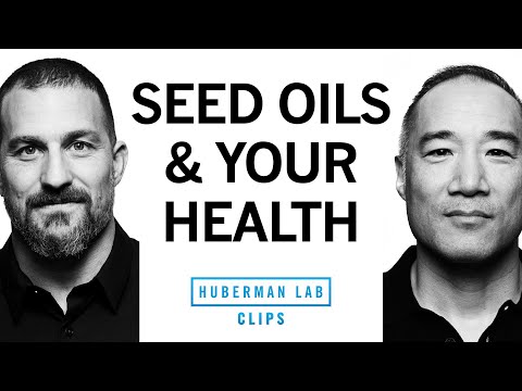 Should You Avoid Seed Oils? | Alan Aragon & Dr. Andrew Huberman