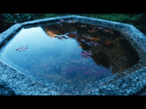 作業用BGM|心が整う般若心経MUSIC睡眠・瞑想・集中・リラックス (24H Live Archive | Heart Sutra Meditation)