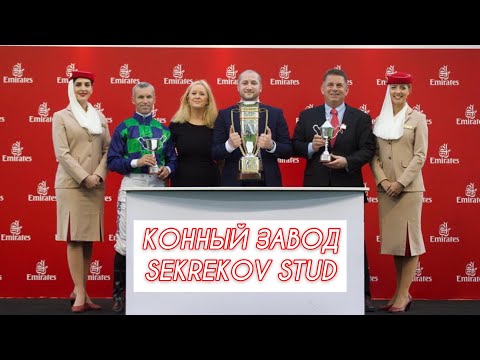 Sekrekov Stud. Конный завод. Кабардино-Балкария
