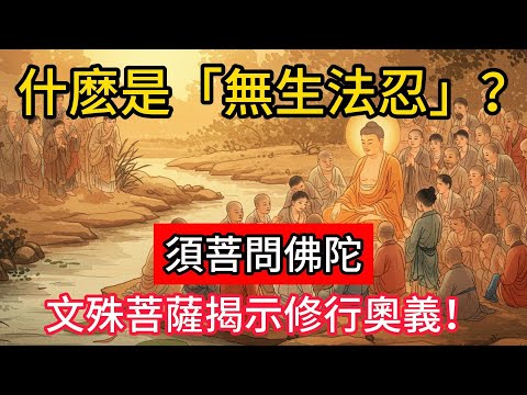 什麽是「無生法忍」?須菩問佛陀,文殊菩薩揭示修行奧義!#佛學 #正能量 #菩提解脫道 #佛教文化 #佛教故事 #人生感悟