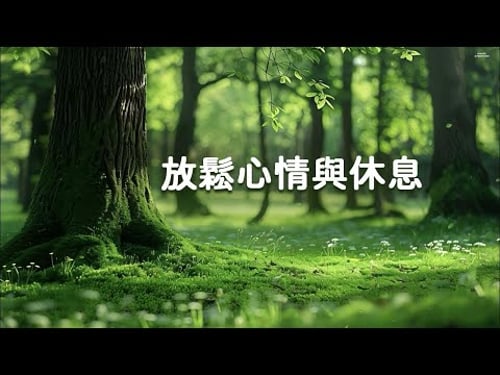 【100%無廣告】 放鬆心情與休息的療癒音樂 - 純音樂、身心緊張舒緩、荷爾蒙平衡、紓解壓力、深度睡眠、咖啡、學習、冥想