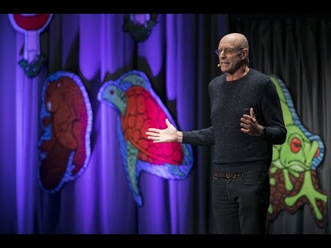 Michael Pollan - Psychedelics and How to Change Your Mind | Bioneers