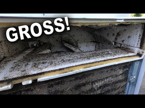 How to Clean a Dirty Moldy Window Air Conditioner
