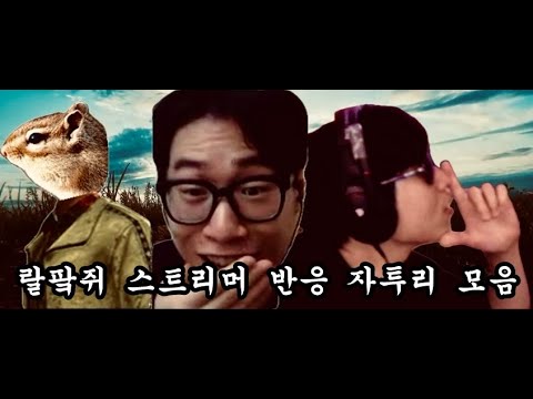 랄팤쥐 스트리머 반응 자투리 모음