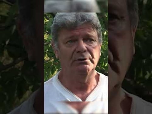 Les canards de la discorde