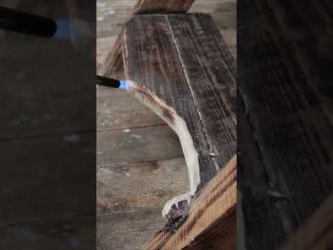 Bushcraft skills #bushcraft #survival #camping #outdoors #lifehacks #forest Part 9