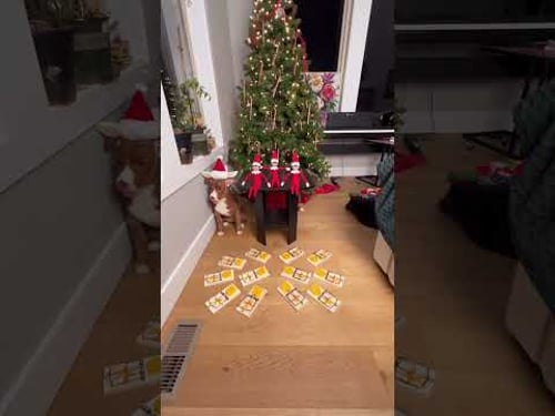 Setting TRAPS For My ELVES ON A SHELF! #shorts