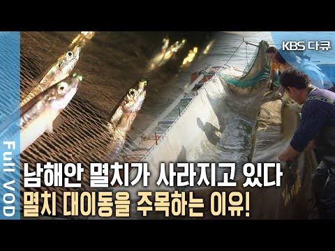 The anchovy gold mine is shifting! Anchovy migration brought about by changing marine environment...