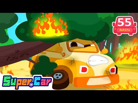 森林營救行動 🌲🚑|拯救受困的小動物!|救援冒險 🛟|同理心教育 💗|兒童動畫 🎥|超級汽車