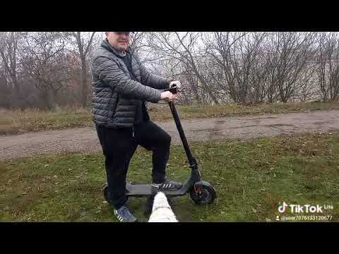 20.декабря 2025г выгул моих красавиц Харьков