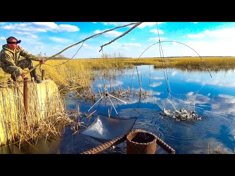 YOU'VE NEVER SEEN SPIDER FISHING LIKE THIS!!! THE LIFT WAS BURST AT THE SEAMS WITH THESE WILD BOA...