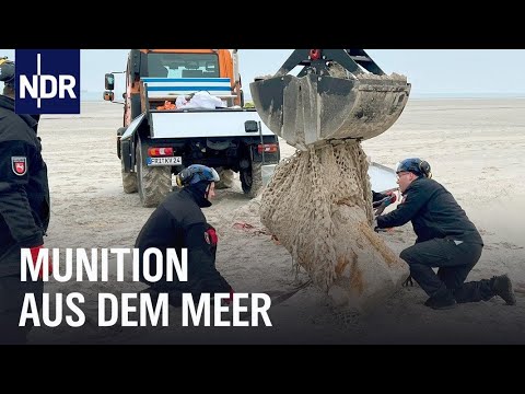Wangerooge: Unterwegs mit den Kampfmittelsuchern | Die Nordreportage | NDR