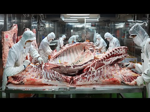 Amazing Master! 50-year-old meat processing plant with annual sales of 30 billion. dismantling beef